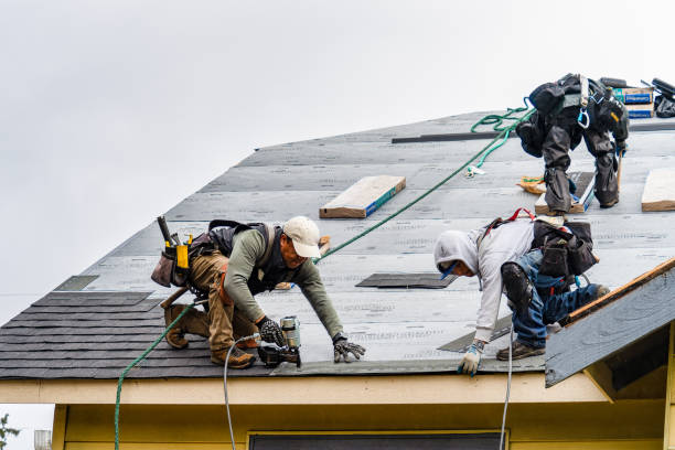Professional Gutter Installation technician working in Lindstrom, MN